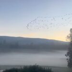Salma Hayek Pinault Instagram - What a beautiful morning to wake up to this winter solstice, a time to embrace both light and darkness. I wanted to share this image with you from my ranch. It makes me feel so grateful for the freedom of moving. What does it make you feel? Qué hermosa mañana para despertar en este solsticio de invierno, un momento para abrazar tanto la luz como la oscuridad. Quería compartir esta imagen contigo desde mi rancho. Me hace sentir agradecida por la libertad de moverme. ¿Qué te hace sentir a ti?