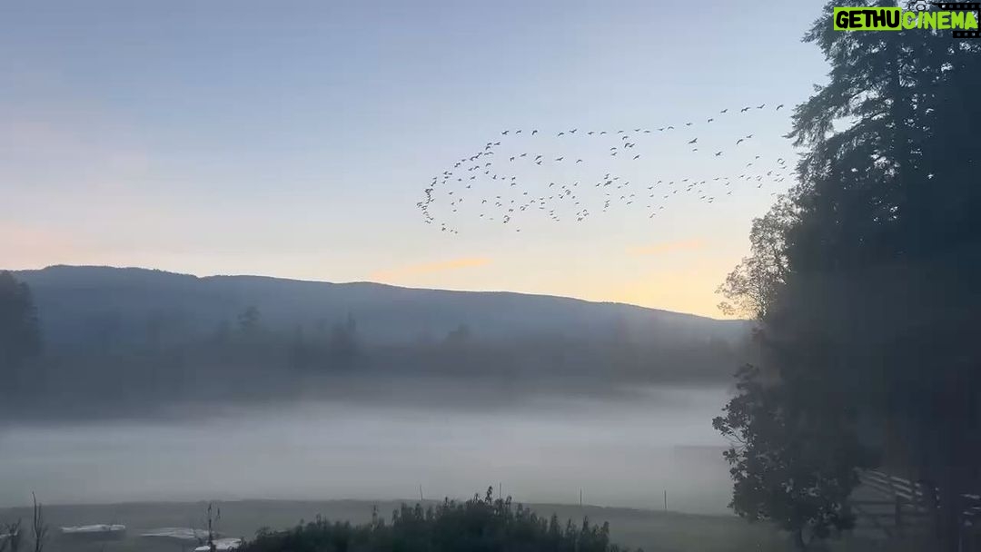Salma Hayek Pinault Instagram - What a beautiful morning to wake up to this winter solstice, a time to embrace both light and darkness. I wanted to share this image with you from my ranch. It makes me feel so grateful for the freedom of moving. What does it make you feel? Qué hermosa mañana para despertar en este solsticio de invierno, un momento para abrazar tanto la luz como la oscuridad. Quería compartir esta imagen contigo desde mi rancho. Me hace sentir agradecida por la libertad de moverme. ¿Qué te hace sentir a ti?