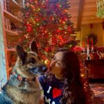 Salma Hayek Pinault Instagram - Happy Holidays to all of you humans and dogs ❤️🎄#germanshepard #christmastree