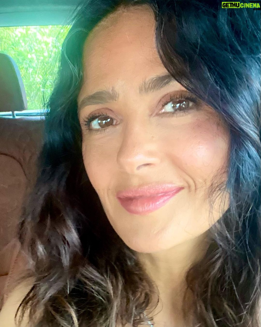Salma Hayek Pinault Instagram - Here is a tip to cover your white hair without dyeing it ……………………………………………………………………………………………………………………………………………… don’t wear your glasses 👓 on your hair!!! 😜😹. Bring on the wisdom🦉. Aquí les va un consejo para cubrirse las canas sin teñirse el cabello……………………………quítense los lentes de la cabeza!!!😜😹 bienvenida la sabiduría🦉