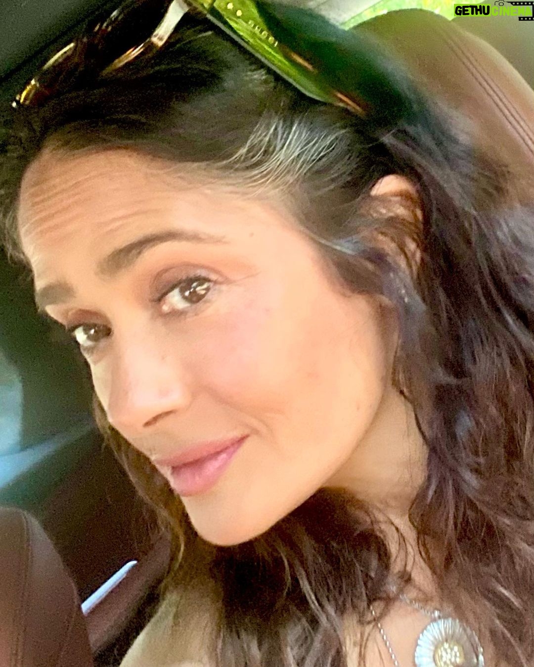 Salma Hayek Pinault Instagram - Here is a tip to cover your white hair without dyeing it ……………………………………………………………………………………………………………………………………………… don’t wear your glasses 👓 on your hair!!! 😜😹. Bring on the wisdom🦉. Aquí les va un consejo para cubrirse las canas sin teñirse el cabello……………………………quítense los lentes de la cabeza!!!😜😹 bienvenida la sabiduría🦉