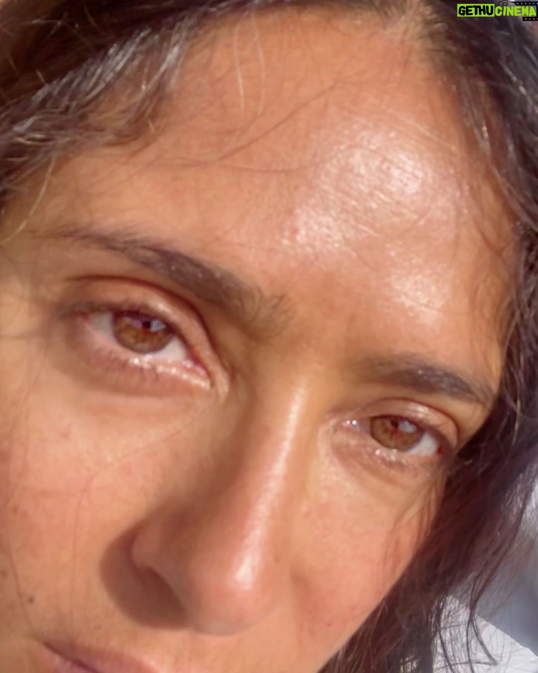 Salma Hayek Pinault Instagram - Me waking up and counting how many white hairs and wrinkles have crashed the party this morning. Yo despertándome y contando cuantas arrugas y canas se colaron a la fiesta esta mañana.