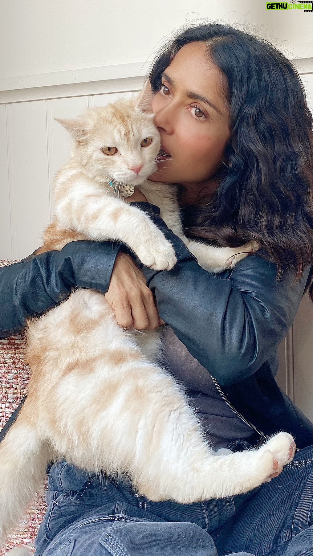 Salma Hayek Pinault Instagram - I have a soft spot for felines 🐾 Being so close to them makes me want to hug them. But i’m not stupid enough to invade their space. Luckily, I have one of my own at home 😊 Tengo debilidad por los felinos 🐾 Estar tan cerca de ellos me dan ganas de abrazarlos. Pero no soy tan estúpido como para invadir su espacio. Por suerte, tengo uno propio en casa 😊 @isharakenya #lion #wildlife #lions #cats #lion🦁 #cat🐱