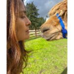 Salma Hayek Pinault Instagram - This #WorldEnvironmentDay makes me think extra about the future generations and all the wonderful creatures that depend on our choices and it makes me want to try harder ♥️🌍 Este #DíaMundialDelMedioAmbiente me hace pensar más en las futuras generaciones y en todas las maravillosas criaturas que dependen de nuestras decisiones y me anima a hacer un mayor esfuerzo ♥️🌍