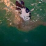 Salma Hayek Pinault Instagram - Every time I need to feel renewed I jump into the ocean 🌊 Cada vez que necesito sentirme renovada, me meto al mar 🌊 #oceanlife