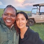 Salma Hayek Pinault Instagram - I just came back from @isharakenya an ecological photographic safari. Very excited to say that our guide was @wildgirl_kenya (my new best friend) Who is the first Maasai woman to be voted 'Best Nature Guide of the Year'. The trip was so amazing, that please forgive me but I will be sharing my photos with you throughout the weekend #grateful so watch out for the animal kingdom to come to you via Instagram 🦁🐒🦒🐘🦛 Acabo de regresa de @isharakenya un safari fotográfico ecológico en Kenia Estoy muy emocionada de que nuestra guía fue @wildgirl_kenya (mi nueva mejor amiga) ¿Quién es la primera mujer masai en tener el título de 'Mejor guía de naturaleza del año' El viaje fue tan increíble que, por favor, perdóname, pero estaré compartiendo con ustedes mis fotos durante todo el fin de semana #agradecido, así que tengan cuidado con el reino animal que les llegará a través de Instagram 🦁🐒🦒🐘