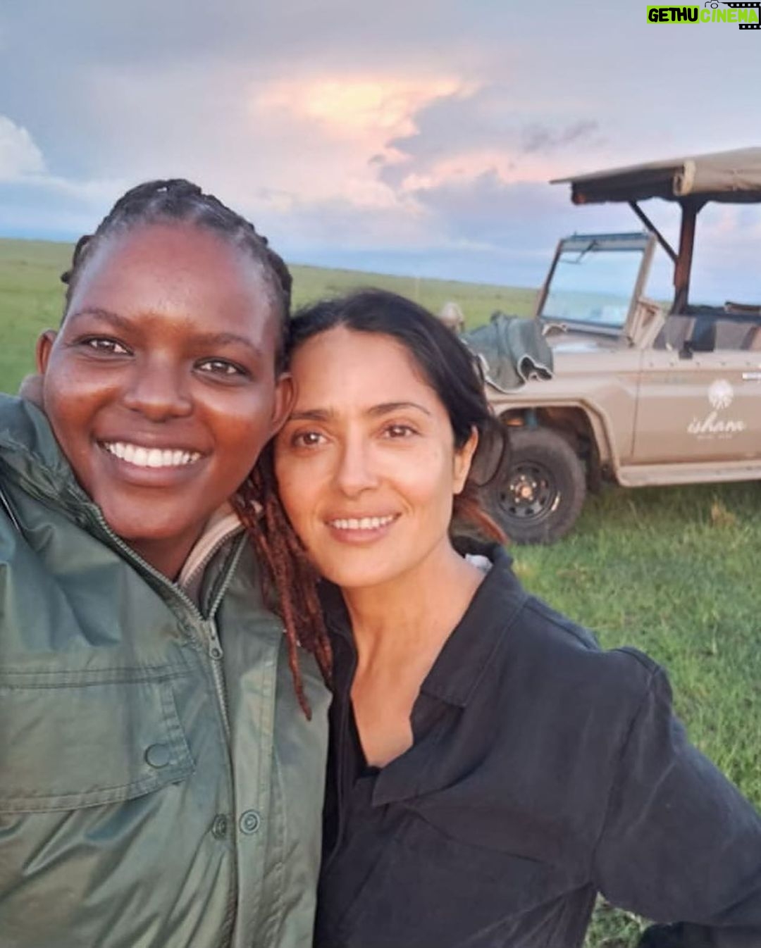 Salma Hayek Pinault Instagram - I just came back from @isharakenya an ecological photographic safari. Very excited to say that our guide was @wildgirl_kenya (my new best friend) Who is the first Maasai woman to be voted 'Best Nature Guide of the Year'. The trip was so amazing, that please forgive me but I will be sharing my photos with you throughout the weekend #grateful so watch out for the animal kingdom to come to you via Instagram 🦁🐒🦒🐘🦛 Acabo de regresa de @isharakenya un safari fotográfico ecológico en Kenia Estoy muy emocionada de que nuestra guía fue @wildgirl_kenya (mi nueva mejor amiga) ¿Quién es la primera mujer masai en tener el título de 'Mejor guía de naturaleza del año' El viaje fue tan increíble que, por favor, perdóname, pero estaré compartiendo con ustedes mis fotos durante todo el fin de semana #agradecido, así que tengan cuidado con el reino animal que les llegará a través de Instagram 🦁🐒🦒🐘