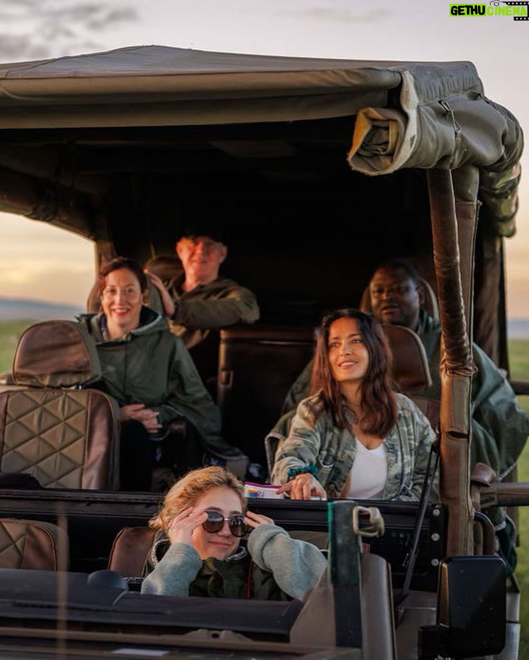 Salma Hayek Pinault Instagram - I just came back from @isharakenya an ecological photographic safari. Very excited to say that our guide was @wildgirl_kenya (my new best friend) Who is the first Maasai woman to be voted 'Best Nature Guide of the Year'. The trip was so amazing, that please forgive me but I will be sharing my photos with you throughout the weekend #grateful so watch out for the animal kingdom to come to you via Instagram 🦁🐒🦒🐘🦛 Acabo de regresa de @isharakenya un safari fotográfico ecológico en Kenia Estoy muy emocionada de que nuestra guía fue @wildgirl_kenya (mi nueva mejor amiga) ¿Quién es la primera mujer masai en tener el título de 'Mejor guía de naturaleza del año' El viaje fue tan increíble que, por favor, perdóname, pero estaré compartiendo con ustedes mis fotos durante todo el fin de semana #agradecido, así que tengan cuidado con el reino animal que les llegará a través de Instagram 🦁🐒🦒🐘