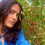 Salma Hayek Pinault Instagram - Grateful for these moments of connection with Mother Nature 🌾🍒Every bite tells a story of sun, soil, and water. 🍋 And yes, that lemon is as big as my head – nature’s own sense of humor! Agradecido por estos momentos de conexión con la Madre Naturaleza 🌾🍒 Cada bocado cuenta una historia de sol, tierra y agua. 🍋 Y sí, ese limón es tan grande como mi cabeza - ¡el propio sentido del humor de la naturaleza!