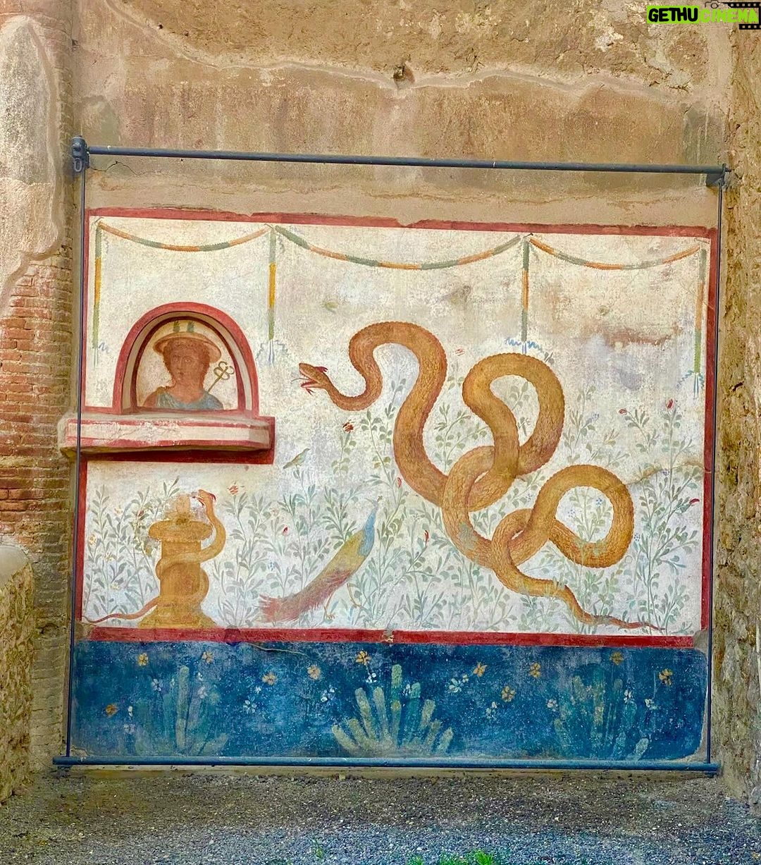 Salma Hayek Pinault Instagram - I feel an undeniable connection to the world that existed centuries ago. 🏛️🏺When you walk through the ruins of Pompeii you can’t help but imagine the lives of the people and their spirit linger in the air. The endurance of its buildings have survived to tell stories of of triumph and tragedy, of love and loss, all frozen in time. Thank you @massimo_osanna for this extraordinary experience. #italy #pompeii Pompeii, Italy