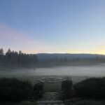 Salma Hayek Pinault Instagram - What a beautiful morning to wake up to this winter solstice, a time to embrace both light and darkness. I wanted to share this image with you from my ranch. It makes me feel so grateful for the freedom of moving. What does it make you feel? Qué hermosa mañana para despertar en este solsticio de invierno, un momento para abrazar tanto la luz como la oscuridad. Quería compartir esta imagen contigo desde mi rancho. Me hace sentir agradecida por la libertad de moverme. ¿Qué te hace sentir a ti?