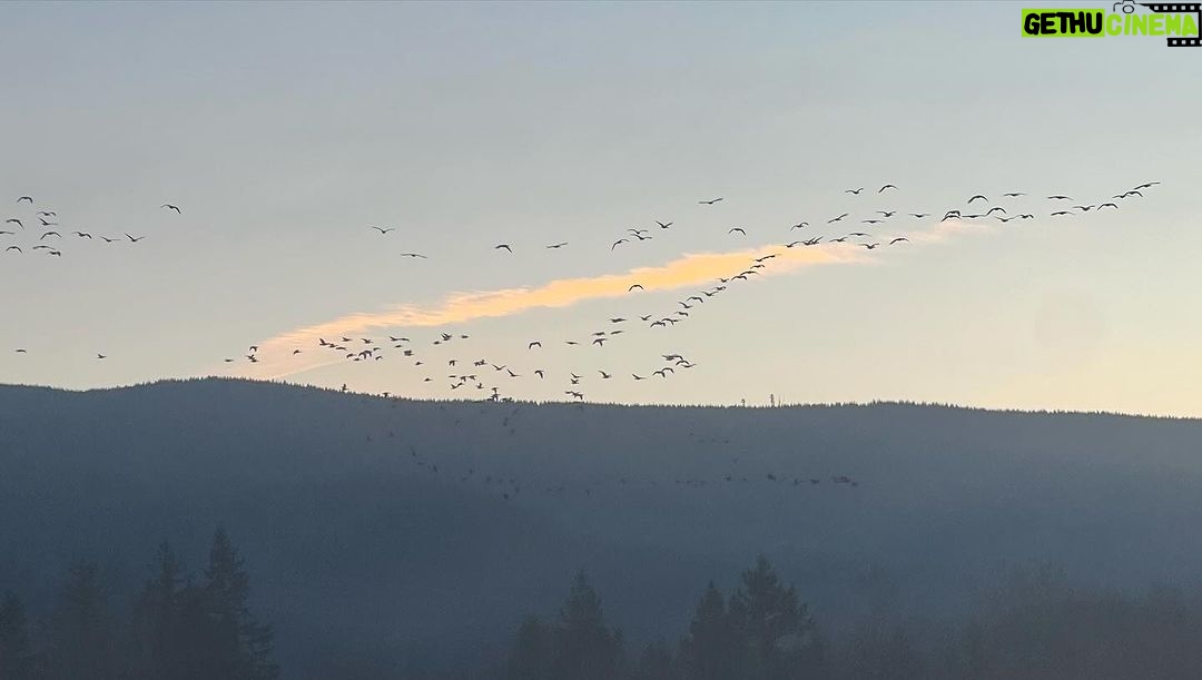 Salma Hayek Pinault Instagram - What a beautiful morning to wake up to this winter solstice, a time to embrace both light and darkness. I wanted to share this image with you from my ranch. It makes me feel so grateful for the freedom of moving. What does it make you feel? Qué hermosa mañana para despertar en este solsticio de invierno, un momento para abrazar tanto la luz como la oscuridad. Quería compartir esta imagen contigo desde mi rancho. Me hace sentir agradecida por la libertad de moverme. ¿Qué te hace sentir a ti?