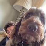 Sam Clemmett Instagram - So, I missed international dog day this week…. But let’s be honest, it’s every day. Here’s a photo dump of this floof ball