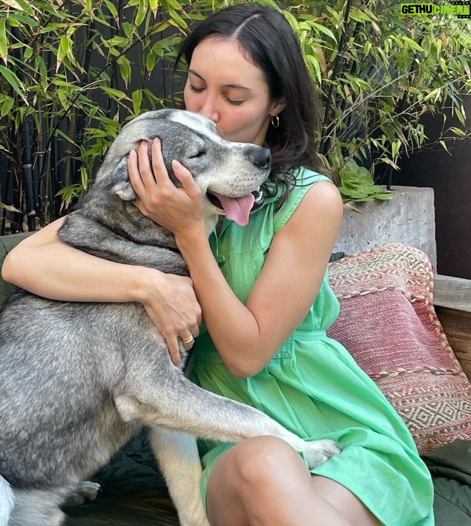 Samantha Robinson Instagram - Must love dogs! 🐶