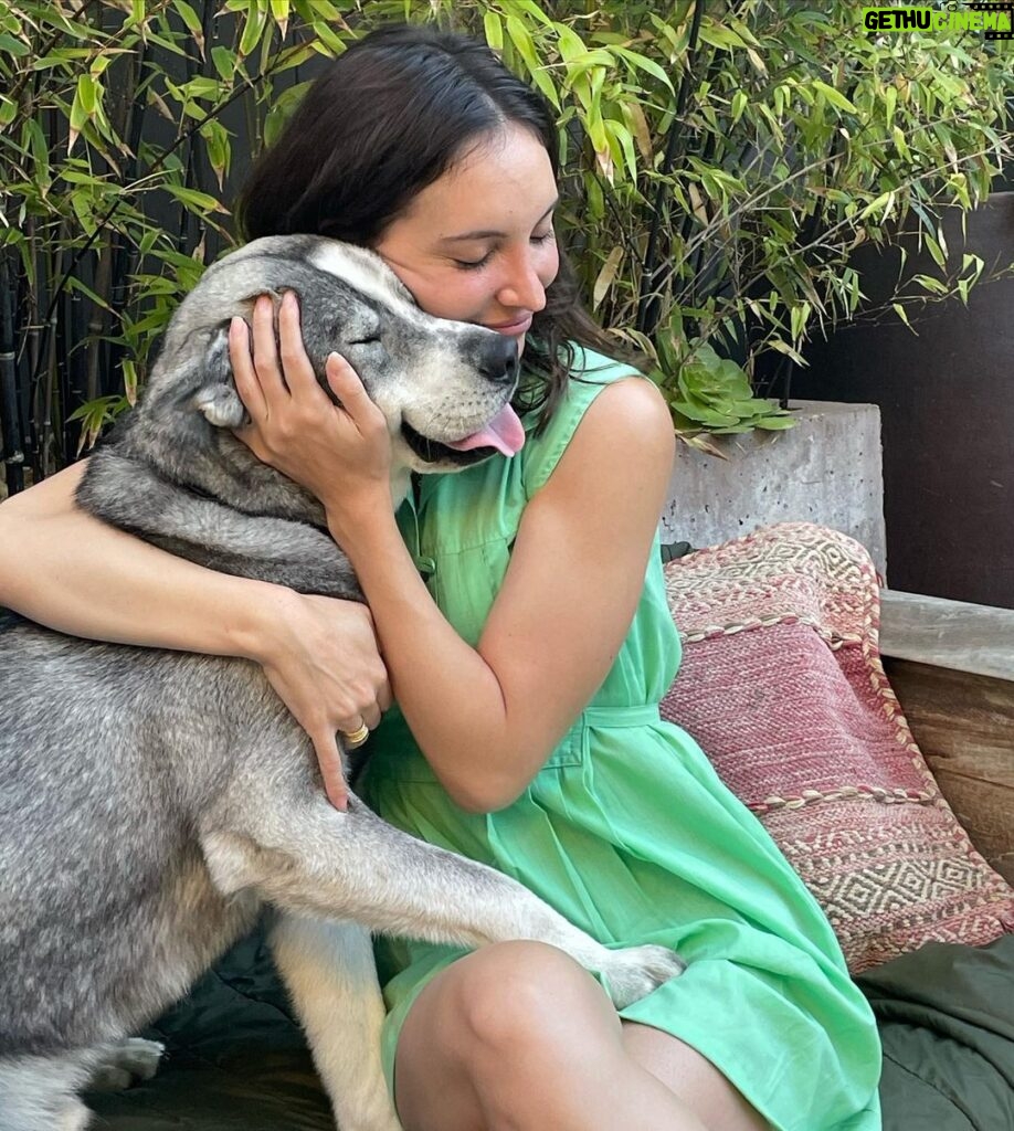 Samantha Robinson Instagram - Must love dogs! 🐶