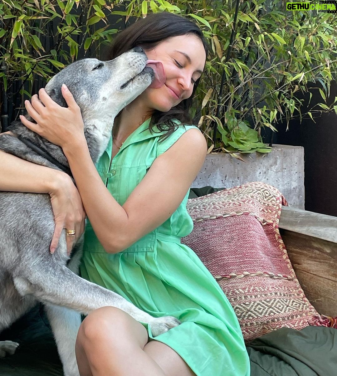 Samantha Robinson Instagram - Must love dogs! 🐶