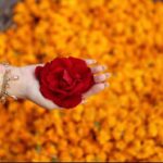 Sana Javed Instagram -