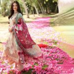 Sana Javed Instagram - Checkout the latest wardrobe by @elaf.premium - ELAF Festive Chikankari 2023. Photographer: @deeveesofficial Videographer: @muzammilgarewal Mua: @sunil_mua Stylist: @mamoontariq Art Director: @ahmadshahart Creative Director: @muneebakraam Co-ordination: @amnaaaiqbal Celebrity Management: @onetake.productionss #elafpremium #festive #chikankari #luxury #lawn #sanajaved