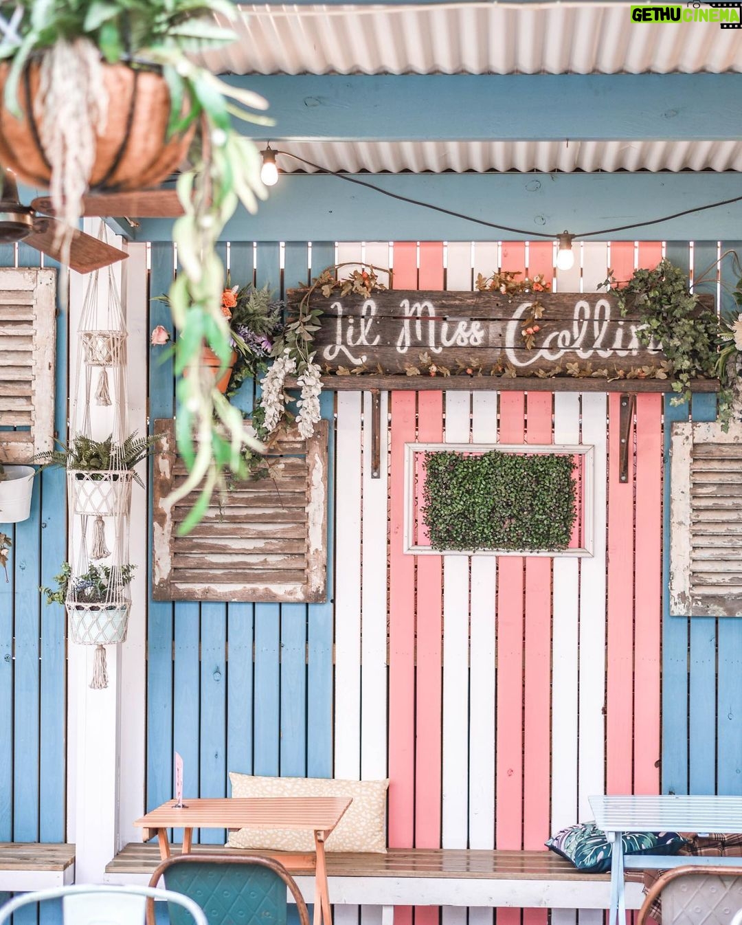 Sana Sultan Instagram - Cuz a Healthy-Delicious Brunch is my Love Language & if the cafe is so beautiful than it becomes a Bonusš„° Absolutely enjoyed my Super delicious brunch here at @lilmisscollinscafe ā¤ļø This is one of the most instagrammable Cafeās of Sydney with lovely vibe⨠Portugese chicken sandwiches ,Phoenician protein salad with grilled chicken & Newyork pancakes are my Favsā¤ļø Thank u for having me here⦠Location: š: *Parramata *Burwood westfield šø: @iammitalitelang Lil Miss Collins