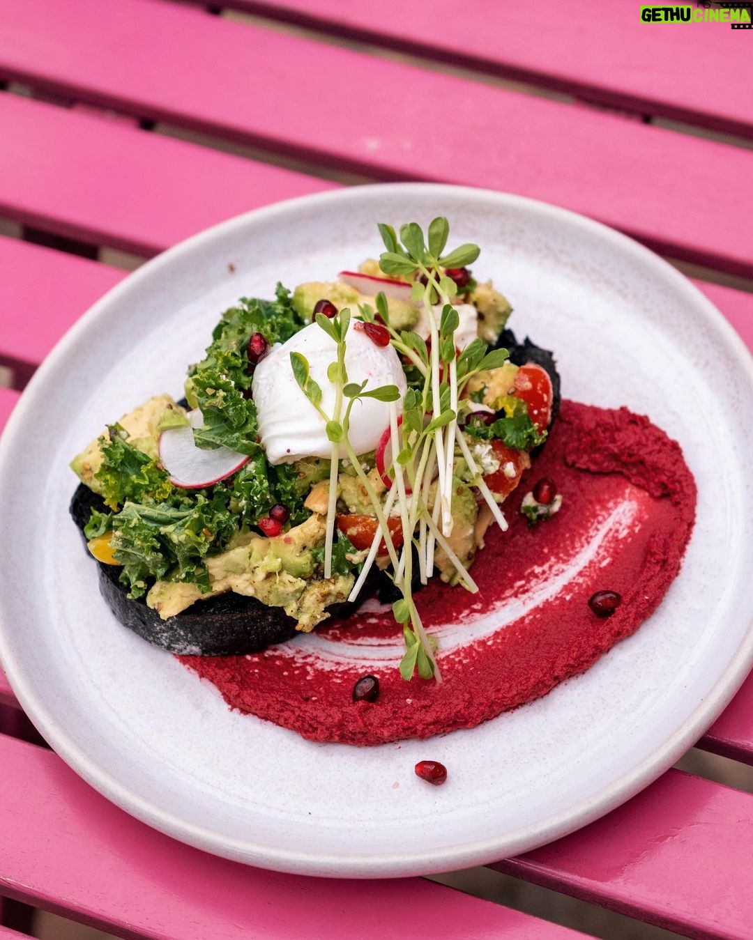 Sana Sultan Instagram - Cuz a Healthy-Delicious Brunch is my Love Language & if the cafe is so beautiful than it becomes a Bonusš„° Absolutely enjoyed my Super delicious brunch here at @lilmisscollinscafe ā¤ļø This is one of the most instagrammable Cafeās of Sydney with lovely vibe⨠Portugese chicken sandwiches ,Phoenician protein salad with grilled chicken & Newyork pancakes are my Favsā¤ļø Thank u for having me here⦠Location: š: *Parramata *Burwood westfield šø: @iammitalitelang Lil Miss Collins