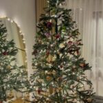Sanem Bahçekapılı Instagram - 18 yaşına kadar her sene yılbaşında o kapıdan Noel Baba girecek Teoşko, biz bu kararı almış bulunduk…