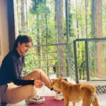 Sanjana Anand Instagram – Jab we met 🐾🥹♥️