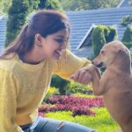 Sanjana Anand Instagram – Jab we met 🐾🥹♥️