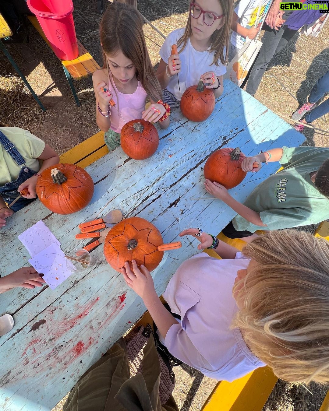 Sarah Felberbaum Instagram - Che giornata meravigliosa!! Grazie @fattoriadellazucca Abbiamo scelto la nostra zucca, intagliata, decorata. Fatto face painting, mangiato, corso e riso. π #fattoriadellazucca #qualitytime #sundayfunday #happyhalloween Fattoria della Zucca