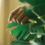 Sarunas J. Jackson Instagram - Presence🌿🌱 📸 @andrewthomasclifton Miami, Florida