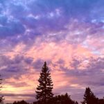 Saskia Thuot Instagram - Beau. Beau. #nature #saskiaclub