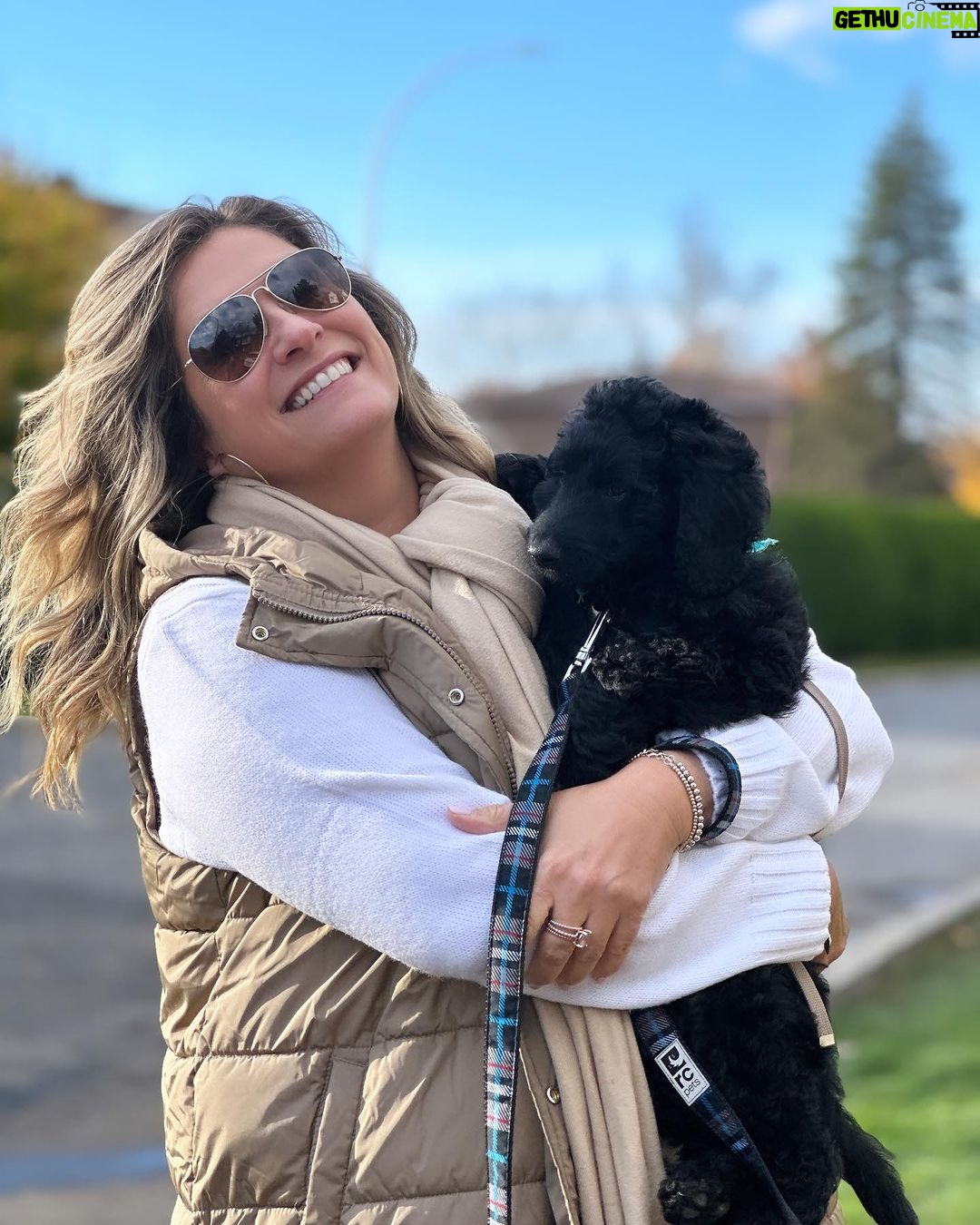 Saskia Thuot Instagram - Cette année pour l’Halloween, je deviens maman d’un bébé chien🐶🥰 Des idées pour un nom? On a une petite idée en tête mais on continue de chercher… Tant qu’à eux les chats ne comprennent pas trop ce qui se passe😉 #dog #cat #fullhouse