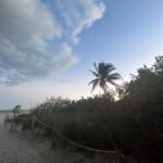 Saskia Thuot Instagram – Miami Beach avec les amis, les palmiers, les enfants (qui préfèrent ne pas se faire voir la binette) et la mer🤍 

Le rabais 30FOU en rappel pour votre Balmy. 

@balmy_towels 
Maillots @lingerieemma 
Solaires @irisvisualgroup 
#escapade #miamibeach #jamaissansmabalmy #balmyxsaskia #chic #eco #fun