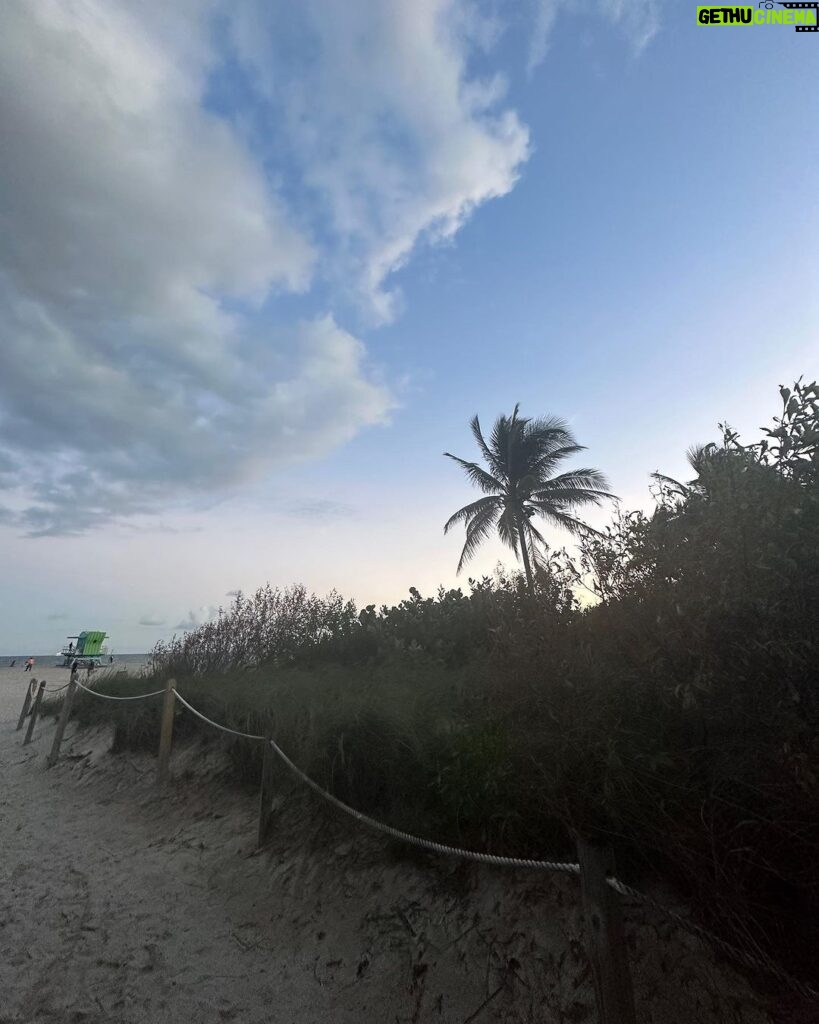 Saskia Thuot Instagram - Miami Beach avec les amis, les palmiers, les enfants (qui préfèrent ne pas se faire voir la binette) et la mer🤍 Le rabais 30FOU en rappel pour votre Balmy. @balmy_towels Maillots @lingerieemma Solaires @irisvisualgroup #escapade #miamibeach #jamaissansmabalmy #balmyxsaskia #chic #eco #fun