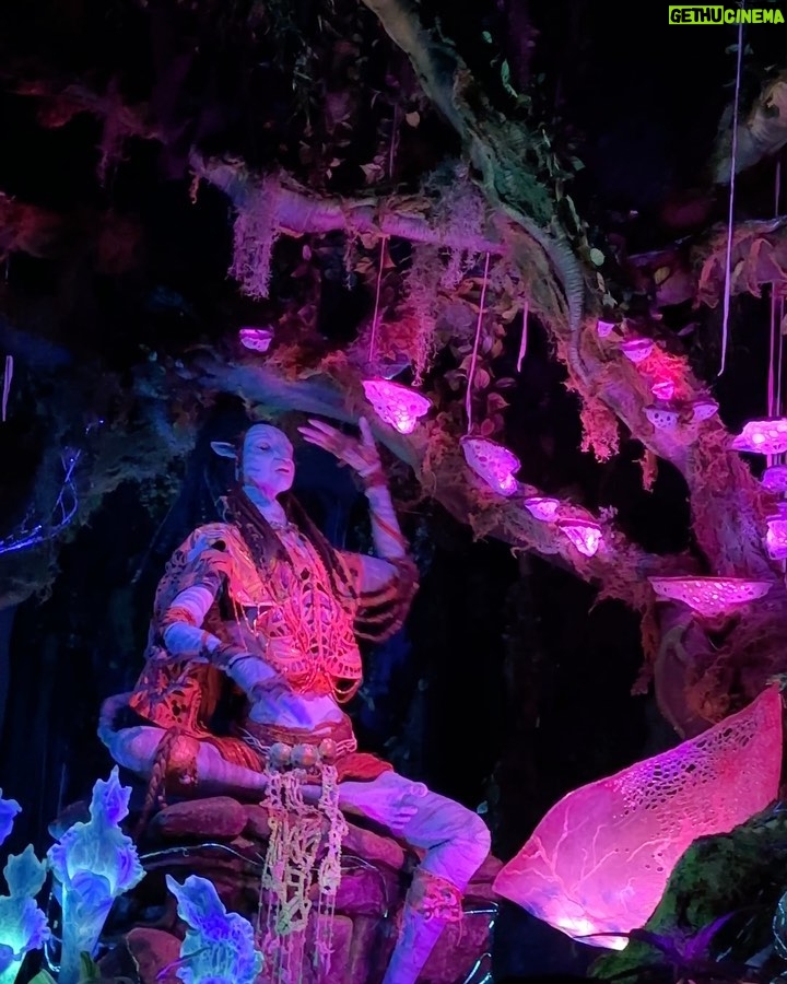 Saskia Thuot Instagram - Quelques souvenirs de notre passage à Disney ✨ Incroyable cet endroit, on a eu des étoiles dans les yeux à chaque instant. On s’est fait brasser dans des manèges hallucinants, fait le tour du monde à Epcot (gros coup de cœur), on a rencontré nos personnages préférés, vu des spectacles magnifiques, on a chanté, on a eu chaud, on a marché marché marché, on s’est chicanés, on s’est perdus, j’ai répété 100 fois par jour : « Il est où Laurence? L’aventurier était toujours 200 pas en avant 😂 On a rit, pleuré, rêvé. C’est loin d’être un voyage reposant et un peu dur sur le porte-monnaie, mais oh combien magique ✨ Merci @vero.audet pour tous tes conseils. Tu es une vraie fée Disney! #disney #famille #magic @waltdisneyworld