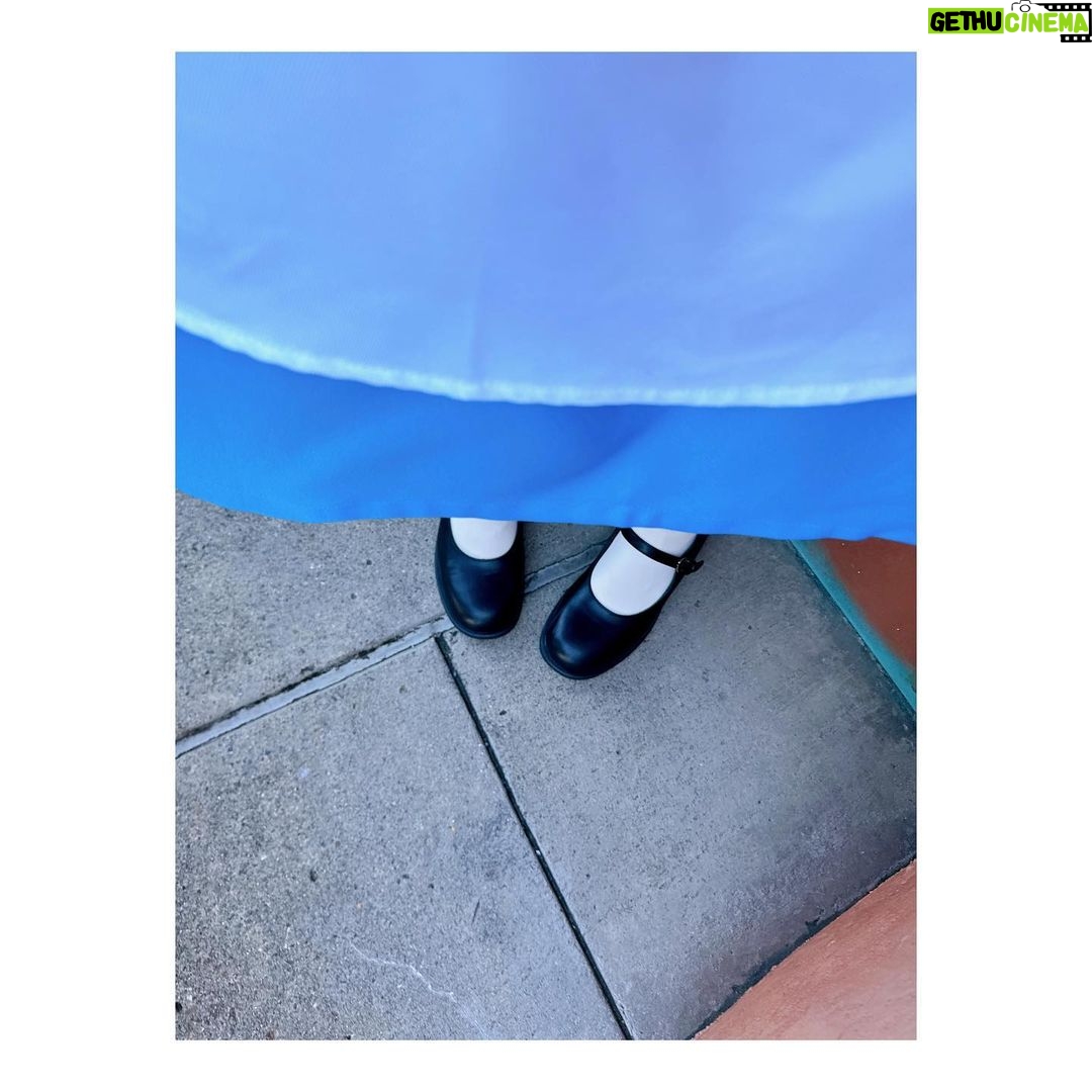 Satomi Sato Instagram - * * * こんばんは。 もう12月なのに 先日ディズニーで、楽しくハロウィンをした時の 思い出を載せてしまうわたしです。 * * いつか、いつかやりたい…!と思っていた ディズニーで仮装してハロウィンを楽しむ夢を 家族で叶えられて嬉しかったな🎃 やるなら本気で!!!! を、モットーに家族全員で 楽しく仮装しました。笑 ハロウィンの時期にディズニーへ行くのは もしかしたら初めて??あれ? 久しぶり??🎃🎃🎃 周りには素敵な仮装をしてる人ばかりで にこにこしちゃう最高の空間でした。ふふふ。 パーク内の雰囲気も最高で やっぱりディズニーっていいな ハロウィンっていいなと 何度も思えたことが嬉しくって ずっと心の中がキラキラしていた気がします。✨ * * * 思いの外、写真がたくさんで おま…この構図で撮るとか天才かよ (´-`).。oO(わし、めちゃくちゃ盛れとるやないかーい!!) な、ものを、たくさん撮ってもらったので 何回かに分けて載せますね。笑 宿泊したお部屋が、アリスのお部屋だったので 写真におさめたときの世界観というか雰囲気が なんか、こう、すごかったんです!(語彙力) 仮装写真投稿にお付き合いくださる方は 引き続きどうぞお楽しみに……!! * * ほんと、おしゃれ写真撮れてて 家族のカメラの腕前に嫉妬…🥹 本領発揮してるやつは、次回以降にたくさん載せますね。 * * * * #ハロウィン #ディズニー #念願の #dハロ #不思議の国のアリス #仮装 #アリス #アリスの部屋 #楽しかった #ウィッグ で #髪が長く なると #ヒゲ ! #って #やりたくなるよね #☺️ #佐藤聡美