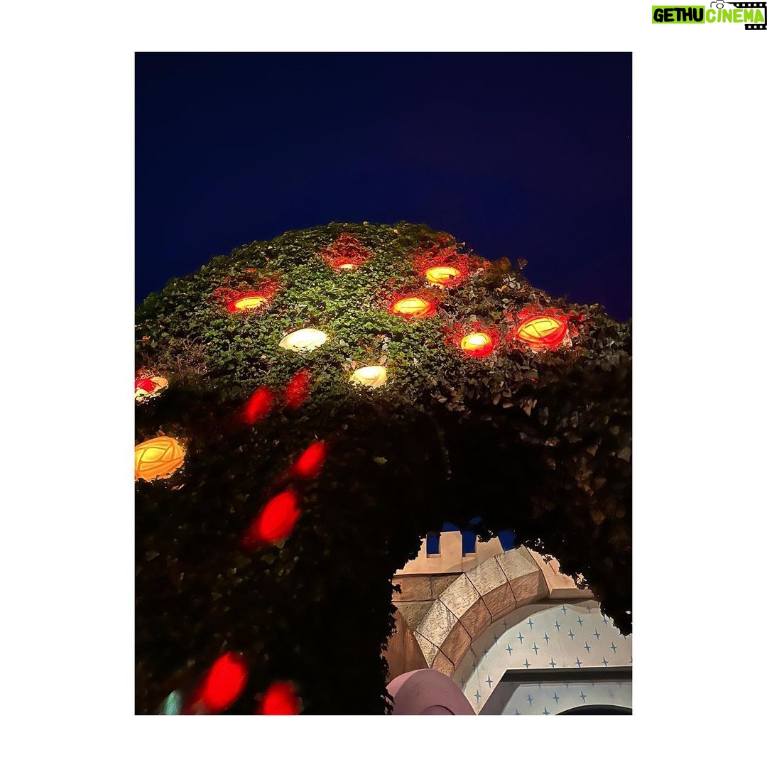 Satomi Sato Instagram - * * * こんばんは。 もう12月なのに 先日ディズニーで、楽しくハロウィンをした時の 思い出を載せてしまうわたしです。 * * いつか、いつかやりたい…!と思っていた ディズニーで仮装してハロウィンを楽しむ夢を 家族で叶えられて嬉しかったな🎃 やるなら本気で!!!! を、モットーに家族全員で 楽しく仮装しました。笑 ハロウィンの時期にディズニーへ行くのは もしかしたら初めて??あれ? 久しぶり??🎃🎃🎃 周りには素敵な仮装をしてる人ばかりで にこにこしちゃう最高の空間でした。ふふふ。 パーク内の雰囲気も最高で やっぱりディズニーっていいな ハロウィンっていいなと 何度も思えたことが嬉しくって ずっと心の中がキラキラしていた気がします。✨ * * * 思いの外、写真がたくさんで おま…この構図で撮るとか天才かよ (´-`).。oO(わし、めちゃくちゃ盛れとるやないかーい!!) な、ものを、たくさん撮ってもらったので 何回かに分けて載せますね。笑 宿泊したお部屋が、アリスのお部屋だったので 写真におさめたときの世界観というか雰囲気が なんか、こう、すごかったんです!(語彙力) 仮装写真投稿にお付き合いくださる方は 引き続きどうぞお楽しみに……!! * * ほんと、おしゃれ写真撮れてて 家族のカメラの腕前に嫉妬…🥹 本領発揮してるやつは、次回以降にたくさん載せますね。 * * * * #ハロウィン #ディズニー #念願の #dハロ #不思議の国のアリス #仮装 #アリス #アリスの部屋 #楽しかった #ウィッグ で #髪が長く なると #ヒゲ ! #って #やりたくなるよね #☺️ #佐藤聡美