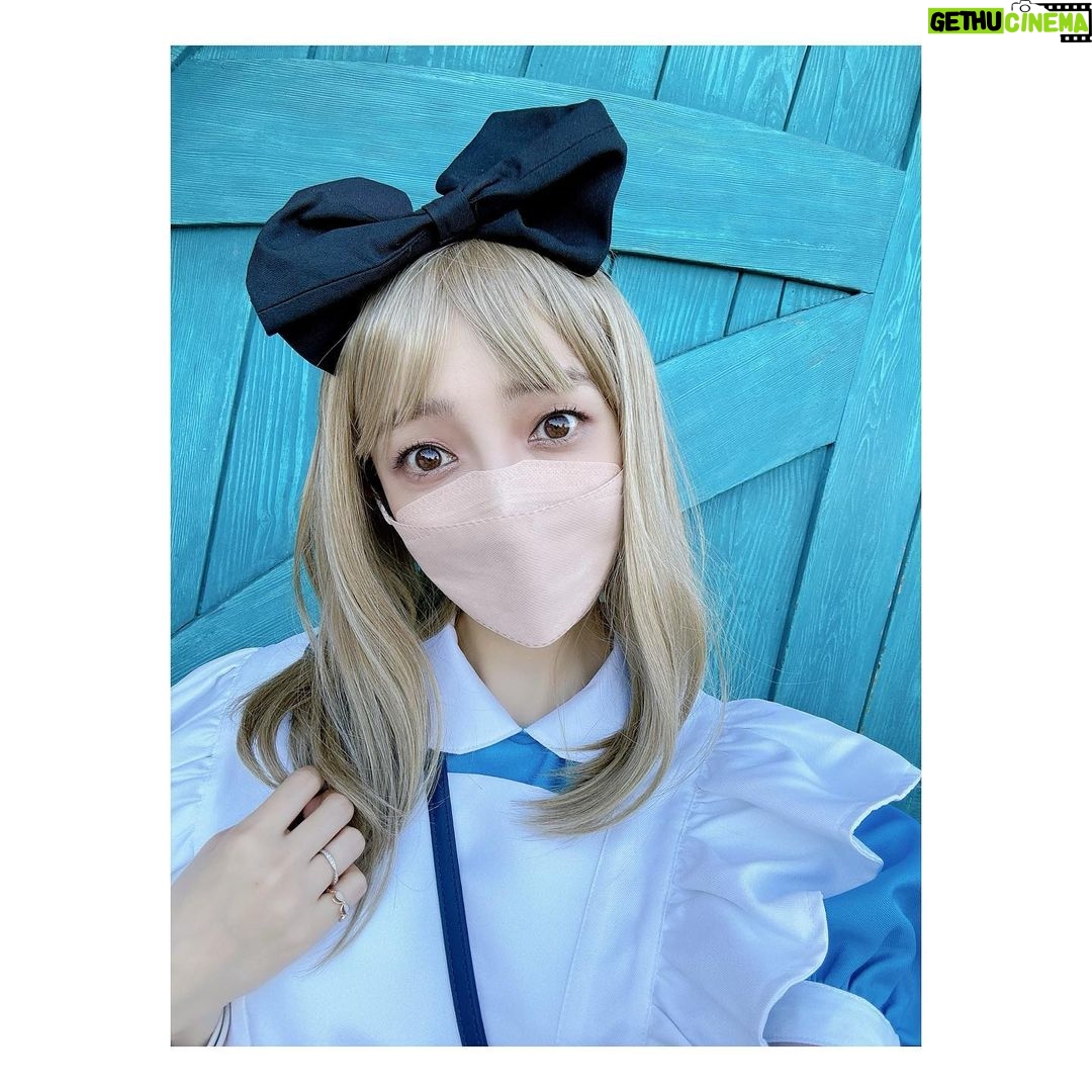 Satomi Sato Instagram - * * * こんばんは。 もう12月なのに 先日ディズニーで、楽しくハロウィンをした時の 思い出を載せてしまうわたしです。 * * いつか、いつかやりたい…!と思っていた ディズニーで仮装してハロウィンを楽しむ夢を 家族で叶えられて嬉しかったな🎃 やるなら本気で!!!! を、モットーに家族全員で 楽しく仮装しました。笑 ハロウィンの時期にディズニーへ行くのは もしかしたら初めて??あれ? 久しぶり??🎃🎃🎃 周りには素敵な仮装をしてる人ばかりで にこにこしちゃう最高の空間でした。ふふふ。 パーク内の雰囲気も最高で やっぱりディズニーっていいな ハロウィンっていいなと 何度も思えたことが嬉しくって ずっと心の中がキラキラしていた気がします。✨ * * * 思いの外、写真がたくさんで おま…この構図で撮るとか天才かよ (´-`).。oO(わし、めちゃくちゃ盛れとるやないかーい!!) な、ものを、たくさん撮ってもらったので 何回かに分けて載せますね。笑 宿泊したお部屋が、アリスのお部屋だったので 写真におさめたときの世界観というか雰囲気が なんか、こう、すごかったんです!(語彙力) 仮装写真投稿にお付き合いくださる方は 引き続きどうぞお楽しみに……!! * * ほんと、おしゃれ写真撮れてて 家族のカメラの腕前に嫉妬…🥹 本領発揮してるやつは、次回以降にたくさん載せますね。 * * * * #ハロウィン #ディズニー #念願の #dハロ #不思議の国のアリス #仮装 #アリス #アリスの部屋 #楽しかった #ウィッグ で #髪が長く なると #ヒゲ ! #って #やりたくなるよね #☺️ #佐藤聡美