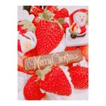 Satomi Sato Instagram - * * * メリークリスマス🎄✨ * * 今年は、自分で一から材料を揃えて クリスマスリースを制作しました。 可愛いサンタさんがいて イメージ通りの仕上がりで 満足でございまする。ほほほ。 * * 材料が余ったので、お裾分けリースと 見よう見まねクリスマススワッグっぽいもの。 作ってみると夢中になれて とても楽しい時間を過ごせました☺️ 葉っぱ半分のやつ憧れてて、作れたのも 嬉しかったな〜✨✨ * * 今年は、沢山クリスマスソングを 聴いて歌って踊って。 家の中がとても賑やかでした🎄 家族みんなへのサンタ業務も無事終了して チキンもケーキを、かなーーり沢山食べた気がします。 いや、食べました。 食べてしまいました。。が 楽しかったからぜろきろかろりーなんだーい。わーい。 * * 今日は、美容室に行ったので自撮り。 クリスマスだからサンタ帽子をかぶってます。 スタンプって便利だね！笑 * 皆さんも楽しいクリスマスを過ごしていることを願って…♡ * * * #xmas #christmas #クリスマス #ハンドメイド #クリスマスリース #クリスマススワッグ #クリスマスケーキ #🎄 #🎂 #佐藤聡美