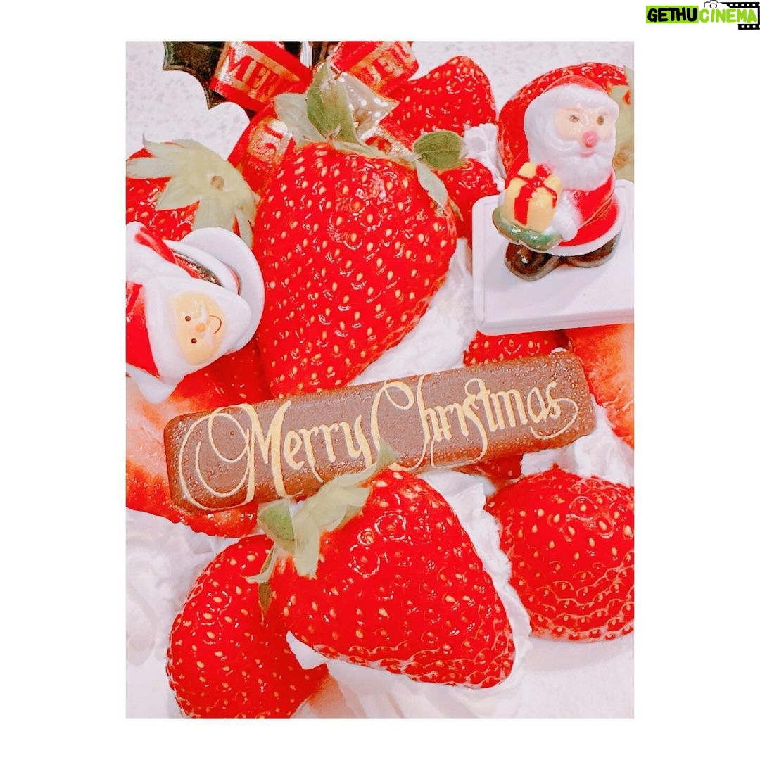 Satomi Sato Instagram - * * * メリークリスマス🎄✨ * * 今年は、自分で一から材料を揃えて クリスマスリースを制作しました。 可愛いサンタさんがいて イメージ通りの仕上がりで 満足でございまする。ほほほ。 * * 材料が余ったので、お裾分けリースと 見よう見まねクリスマススワッグっぽいもの。 作ってみると夢中になれて とても楽しい時間を過ごせました☺️ 葉っぱ半分のやつ憧れてて、作れたのも 嬉しかったな〜✨✨ * * 今年は、沢山クリスマスソングを 聴いて歌って踊って。 家の中がとても賑やかでした🎄 家族みんなへのサンタ業務も無事終了して チキンもケーキを、かなーーり沢山食べた気がします。 いや、食べました。 食べてしまいました。。が 楽しかったからぜろきろかろりーなんだーい。わーい。 * * 今日は、美容室に行ったので自撮り。 クリスマスだからサンタ帽子をかぶってます。 スタンプって便利だね!笑 * 皆さんも楽しいクリスマスを過ごしていることを願って…♡ * * * #xmas #christmas #クリスマス #ハンドメイド #クリスマスリース #クリスマススワッグ #クリスマスケーキ #🎄 #🎂 #佐藤聡美