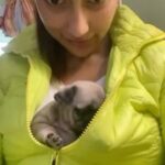 Sayantika Banerjee Instagram – #Feeney – U wer an Angel . Never have you troubled any of us, not even on the day you left 29.12.23💔
You will always be in our hearts and thoughts specially Ma and Baba.Though they are struggling to cope up with the vacuum that has been created after you, am sure they’ll settle down soon as it’s said- “The Show Must Go On….”
On the last day of the Year I want to tell you that u were a Blessing in Disguise for 
Baba,Ma,Shiraz,Tiki,Kahlua and Me ..
We ❤️u n we Miss U…😢
Stay in Peace 🤍 Feeney ❤️