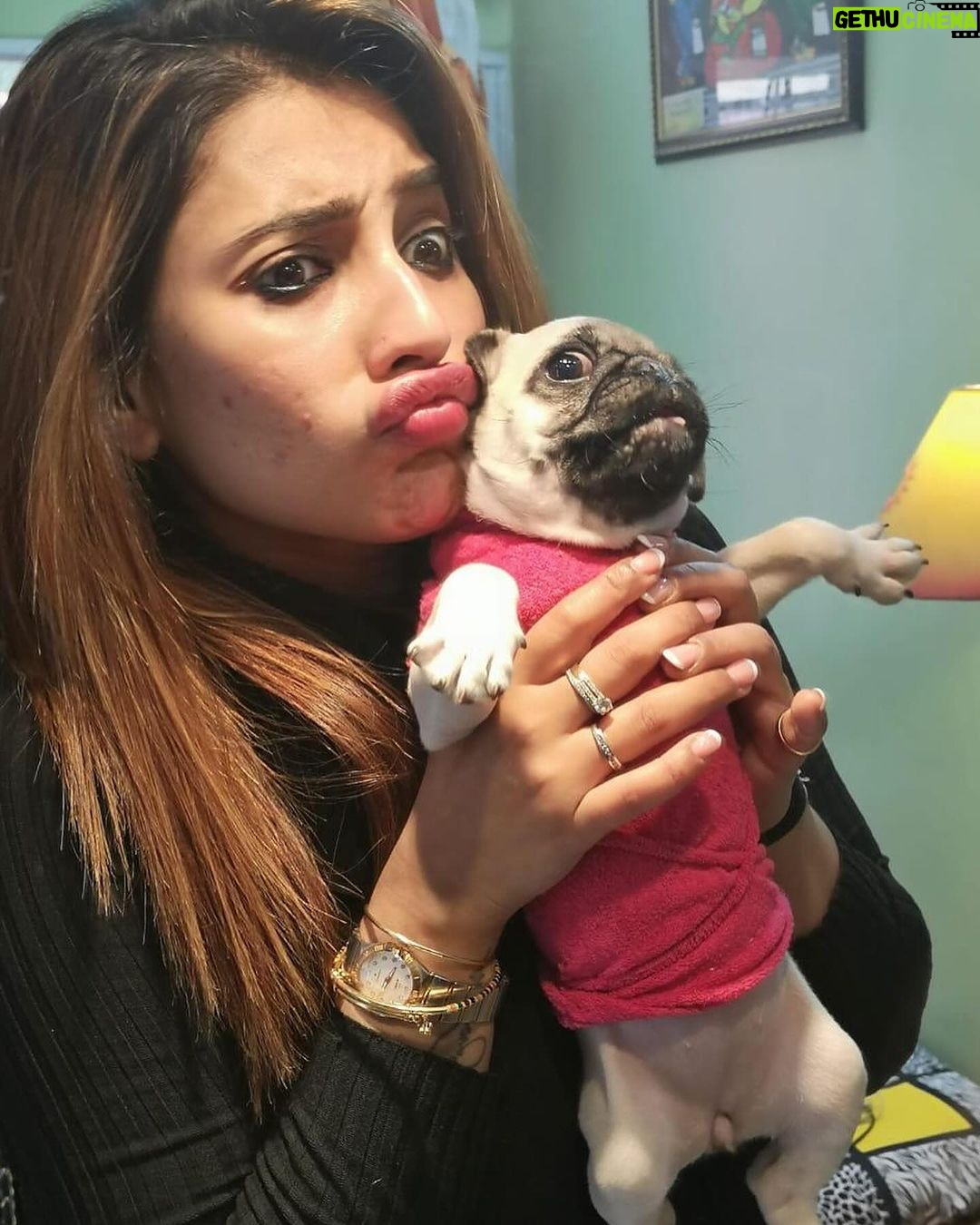 Sayantika Banerjee Instagram - #Feeney - U wer an Angel . Never have you troubled any of us, not even on the day you left 29.12.23💔 You will always be in our hearts and thoughts specially Ma and Baba.Though they are struggling to cope up with the vacuum that has been created after you, am sure they’ll settle down soon as it’s said- “The Show Must Go On….” On the last day of the Year I want to tell you that u were a Blessing in Disguise for Baba,Ma,Shiraz,Tiki,Kahlua and Me .. We ❤️u n we Miss U…😢 Stay in Peace 🤍 Feeney ❤️