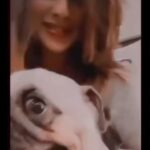 Sayantika Banerjee Instagram - 29.12.23 - FEENEY 💔😭…. Lost in Heaven 😇