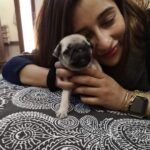 Sayantika Banerjee Instagram – 29.12.23 – FEENEY 💔😭…. Lost in Heaven 😇
