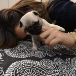 Sayantika Banerjee Instagram - 29.12.23 - FEENEY 💔😭…. Lost in Heaven 😇