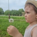 Sayuri Fujita Instagram - 민들레 찾으로 갔다. We went looking for dandelions. タンポポを探しに行った。🌱