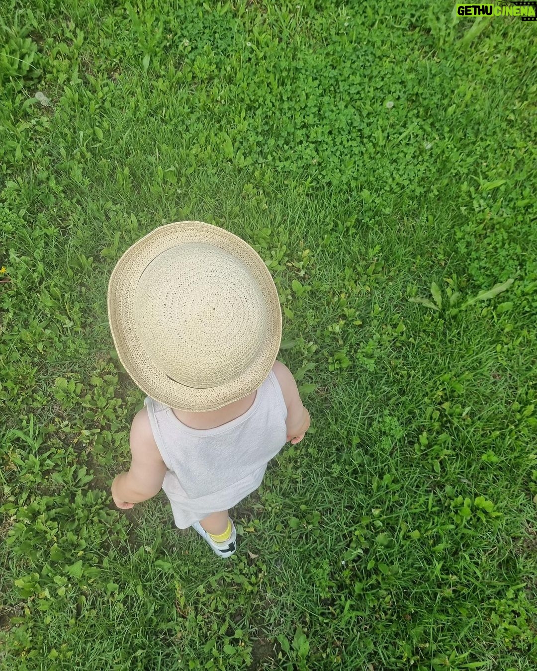 Sayuri Fujita Instagram - 민들레 찾으로 갔다. We went looking for dandelions. タンポポを探しに行った。🌱