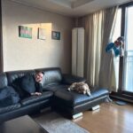 Sayuri Fujita Instagram - 할리뽕을 항상 지켜보고있다. i’m always keeping an eye on Robert Holley. ハーリーさんをいつでも監視してる🫡#수상하면바로112