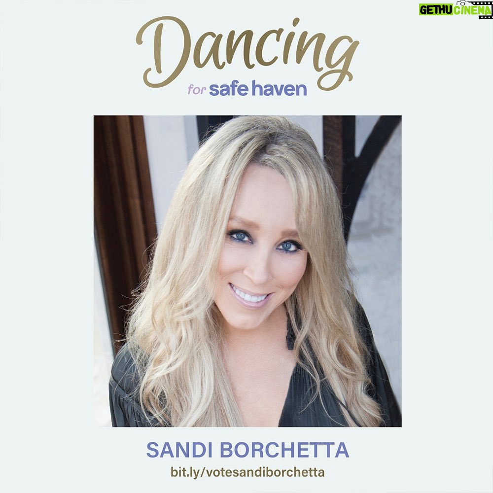 Scott Borchetta Instagram - I am so proud of my beautiful (and talented) wife, Sandi Spika Borchetta, for stepping out of her creative world and onto the dance floor to support Safe Haven, the premier shelter-to-housing program that accommodates families facing homelessness in Middle Tennessee. Sandi will be “Dancing For Safe Haven” and we are all asking YOU to help this incredible organization. There are countless donation opportunities and any amount helps! We are thrilled to contribute some exclusive experiences – including a recording contract with @BigMachineLabelGroup! 🎙 The money we raise will directly benefit @SafeHavenTN and their work to make a positive impact on families experiencing homelessness. This organization and event are important to us, which is why we are also proud to announce that @MusicHasValue is a presenting sponsor of the event. Hope to see you April 28, 2023 at the Omni Hotel in Nashville, TN to cheer and support Sandi. 👊 Visit the link in my bio to donate and learn more about the exclusive experiences to support Safe Haven. #dancingforsafehaven #safehaventn #endfamilyhomelessness #keepingfamiliestogether