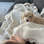 Scott Disick Instagram – Hellooooooo little dog!