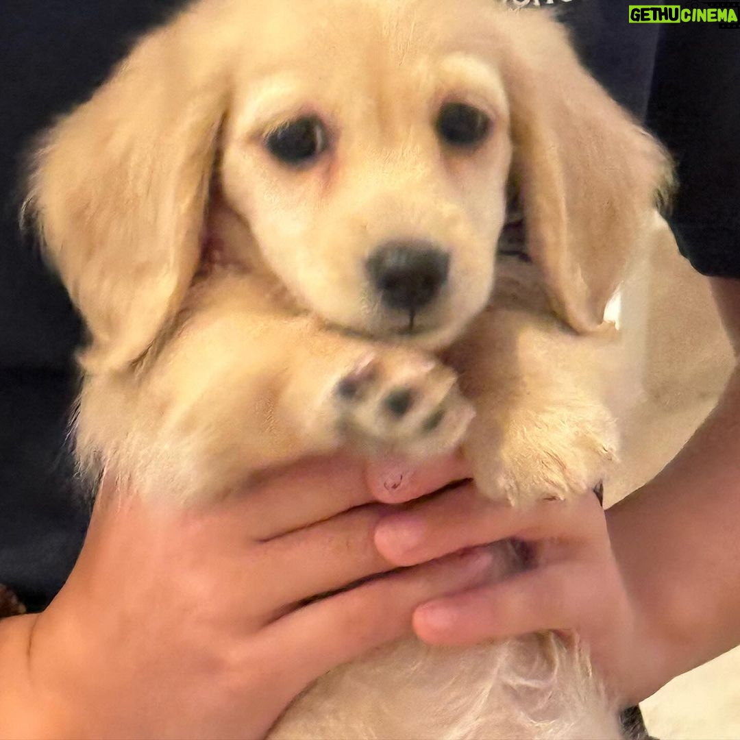 Scott Disick Instagram - I got P a pup and I think I love her